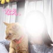 ヒメ日記 2025/11/25 23:36 投稿 なえなえ イクイクサークル鶯谷店