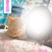 ヒメ日記 2025/11/26 08:56 投稿 なえなえ イクイクサークル鶯谷店