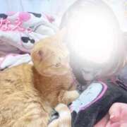 ヒメ日記 2025/11/26 18:46 投稿 なえなえ イクイクサークル鶯谷店