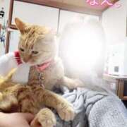 ヒメ日記 2025/12/18 21:46 投稿 なえなえ イクイクサークル鶯谷店