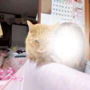 ヒメ日記 2026/01/09 12:56 投稿 なえなえ イクイクサークル鶯谷店