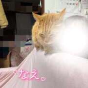 ヒメ日記 2026/01/14 22:01 投稿 なえなえ イクイクサークル鶯谷店