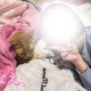 ヒメ日記 2026/02/11 19:36 投稿 なえなえ イクイクサークル鶯谷店