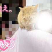 ヒメ日記 2026/02/22 14:26 投稿 なえなえ イクイクサークル鶯谷店