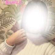 ヒメ日記 2026/03/21 19:49 投稿 なえなえ イクイクサークル鶯谷店