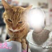 ヒメ日記 2026/03/24 19:46 投稿 なえなえ イクイクサークル鶯谷店