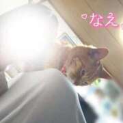 ヒメ日記 2026/03/25 12:46 投稿 なえなえ イクイクサークル鶯谷店