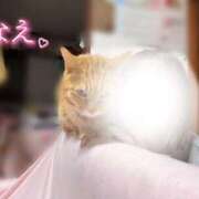 ヒメ日記 2026/04/15 23:46 投稿 なえなえ イクイクサークル鶯谷店