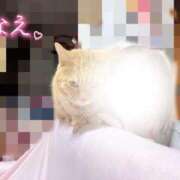 ヒメ日記 2026/04/29 19:06 投稿 なえなえ イクイクサークル鶯谷店