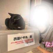 ヒメ日記 2026/07/14 23:16 投稿 なえなえ イクイクサークル鶯谷店