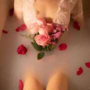 ヒメ日記 2025/04/21 18:49 投稿 藤江 美緒 ELEGANCE