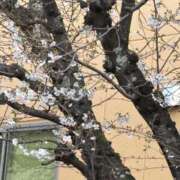 ヒメ日記 2026/03/28 18:41 投稿 ゆか ギン妻パラダイス 和歌山店