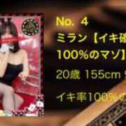 ヒメ日記 2025/04/21 11:20 投稿 ミラン【イキ確率100％のマゾ】 ドMなバニーちゃん和歌山店