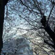 ヒメ日記 2025/04/14 22:09 投稿 山崎りか エマーブル