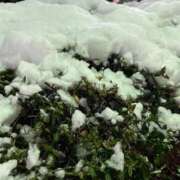 山崎りか ゆきっ⛄️🩵 エマーブル