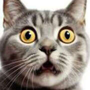 ヒメ日記 2025/03/28 11:30 投稿 永瀬冬子 ミセス・レヴォアール～再会～