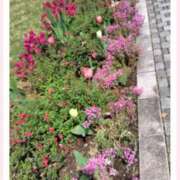 ヒメ日記 2025/03/31 09:47 投稿 永瀬冬子 ミセス・レヴォアール～再会～