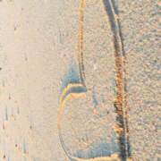 ヒメ日記 2025/04/04 09:31 投稿 永瀬冬子 ミセス・レヴォアール～再会～