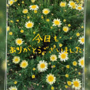 ヒメ日記 2025/04/05 10:50 投稿 永瀬冬子 ミセス・レヴォアール～再会～