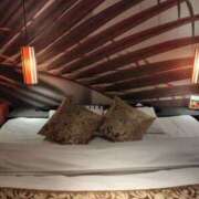 ヒメ日記 2025/04/08 09:21 投稿 永瀬冬子 ミセス・レヴォアール～再会～