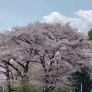 ヒメ日記 2025/04/09 09:41 投稿 永瀬冬子 ミセス・レヴォアール～再会～
