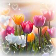 ヒメ日記 2025/04/10 07:53 投稿 永瀬冬子 ミセス・レヴォアール～再会～