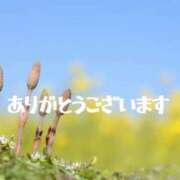 ヒメ日記 2025/04/10 22:12 投稿 永瀬冬子 ミセス・レヴォアール～再会～