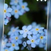 ヒメ日記 2025/04/18 07:53 投稿 永瀬冬子 ミセス・レヴォアール～再会～