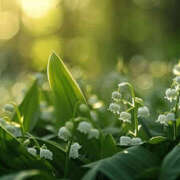 ヒメ日記 2025/04/24 10:47 投稿 永瀬冬子 ミセス・レヴォアール～再会～