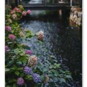 ヒメ日記 2025/06/10 11:15 投稿 永瀬冬子 ミセス・レヴォアール～再会～