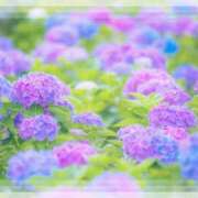 ヒメ日記 2025/06/13 08:03 投稿 永瀬冬子 ミセス・レヴォアール～再会～