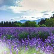 ヒメ日記 2025/06/13 10:45 投稿 永瀬冬子 ミセス・レヴォアール～再会～