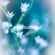 ヒメ日記 2025/07/07 13:05 投稿 永瀬冬子 ミセス・レヴォアール～再会～