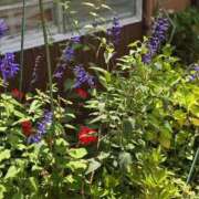 ヒメ日記 2025/07/10 12:24 投稿 永瀬冬子 ミセス・レヴォアール～再会～