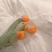 ヒメ日記 2025/04/12 07:32 投稿 るる 11チャンネル