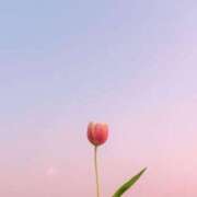 ヒメ日記 2025/06/11 23:54 投稿 るる 11チャンネル