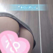 ヒメ日記 2025/06/18 14:49 投稿 ちぃ もんぜつちじょ本店