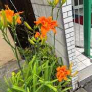 ヒメ日記 2025/04/24 00:19 投稿 鈴原 さつき カサノヴァ