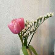 ヒメ日記 2025/06/02 21:59 投稿 鈴原 さつき カサノヴァ