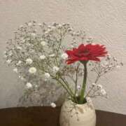 鈴原 さつき 風俗店と陶芸教室の共通点はなんでしょう🐶 カサノヴァ