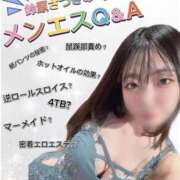 ヒメ日記 2026/04/03 12:49 投稿 鈴原 さつき カサノヴァ