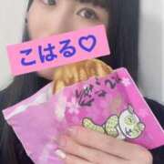 ヒメ日記 2025/04/19 11:45 投稿 七瀬こはる(ななせこはる) 鶯谷ナンバーワン
