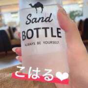 ヒメ日記 2025/04/20 13:15 投稿 七瀬こはる(ななせこはる) 鶯谷ナンバーワン