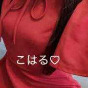 ヒメ日記 2025/08/02 08:50 投稿 七瀬こはる(ななせこはる) 鶯谷ナンバーワン