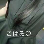 ヒメ日記 2025/08/03 19:50 投稿 七瀬こはる(ななせこはる) 鶯谷ナンバーワン