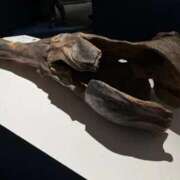 ヒメ日記 2025/09/20 19:50 投稿 七瀬こはる(ななせこはる) 鶯谷ナンバーワン