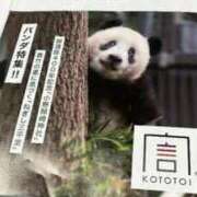 ヒメ日記 2025/11/07 21:20 投稿 七瀬こはる(ななせこはる) 鶯谷ナンバーワン