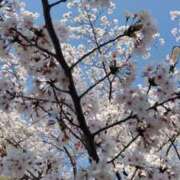 ヒメ日記 2025/04/10 20:38 投稿 ゆか 大宮逆マッサージ