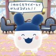 ヒメ日記 2025/07/24 08:50 投稿 せいら 西川口マーメイド