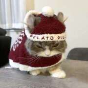 ヒメ日記 2025/11/18 18:21 投稿 せいら 西川口マーメイド